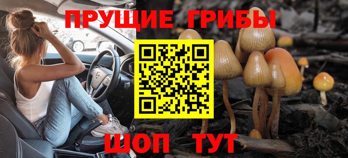 Псилоцибиновые грибы прущие грибы Химки