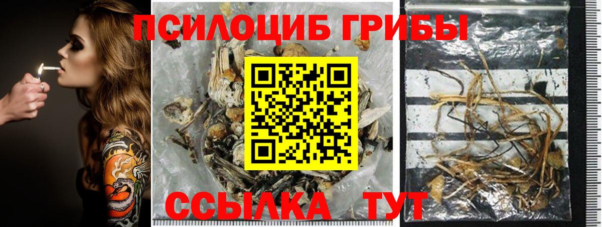 хочу   Галлюциногенные грибы MAGIC MUSHROOMS  Вход с VPN  Химки 